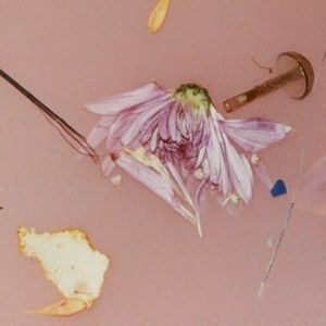 Meet your Posher, Destinee