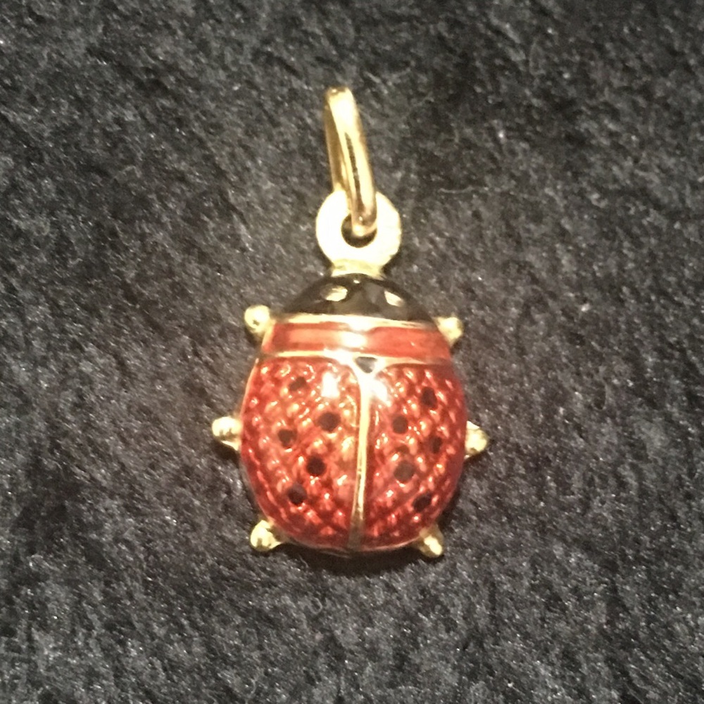 14k gold, red enamel ladybug charm