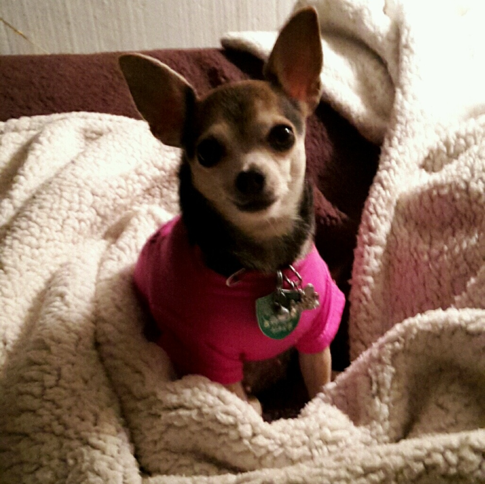 Meet your Posher, Antonio