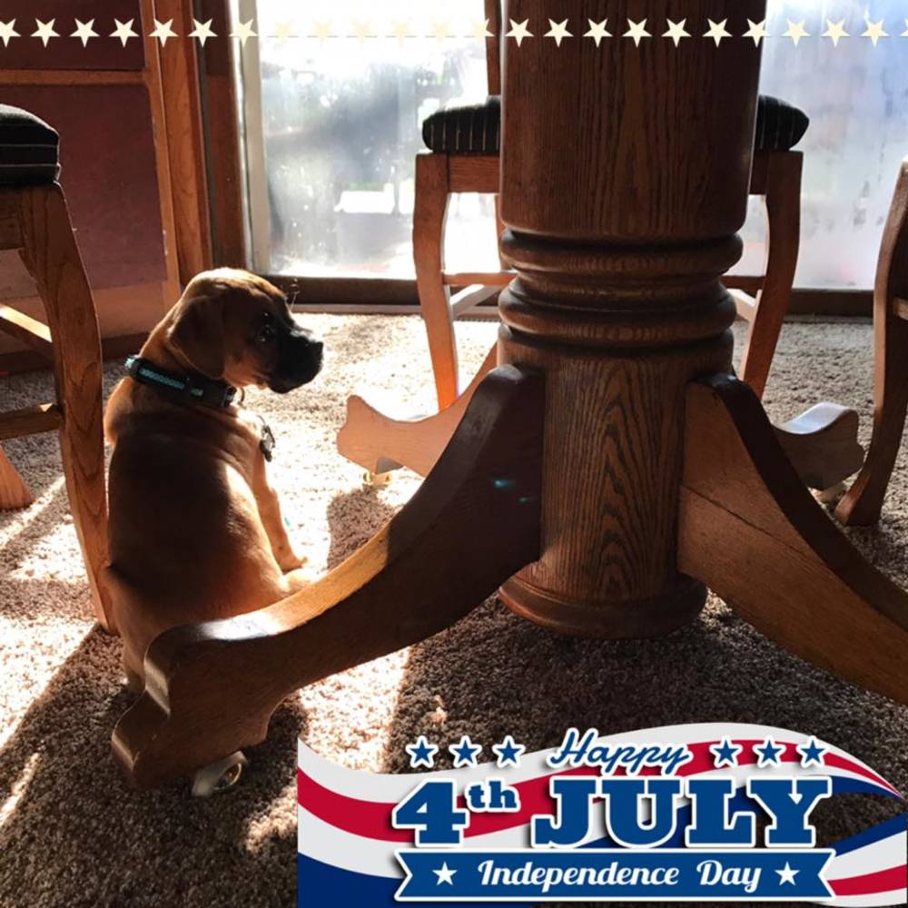 Meet your Posher, Kate