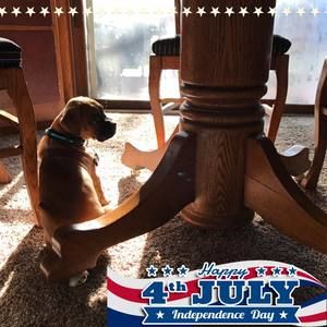 Meet your Posher, Kate