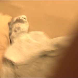 Meet your Posher, Devon