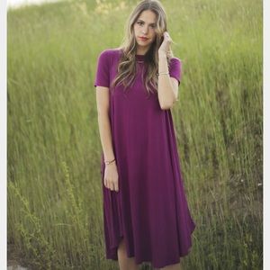 NWT midi swing dress in Magenta