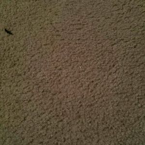 Meet your Posher, Terri