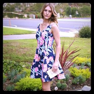Lilly Pulitzer Fit & Flare Clove Dress in Sz 8