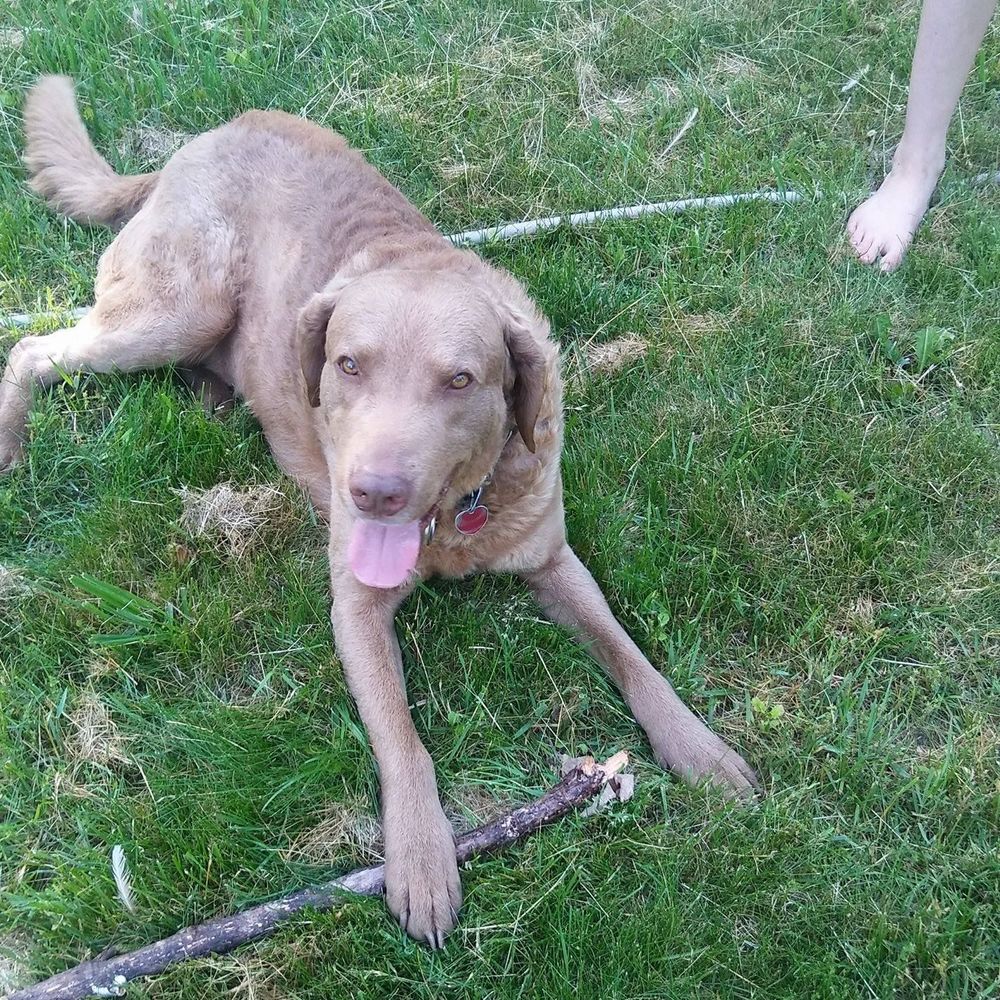 Meet your Posher, Sara