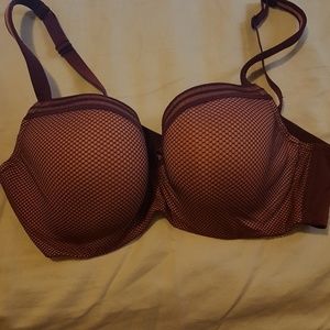 40 D bra