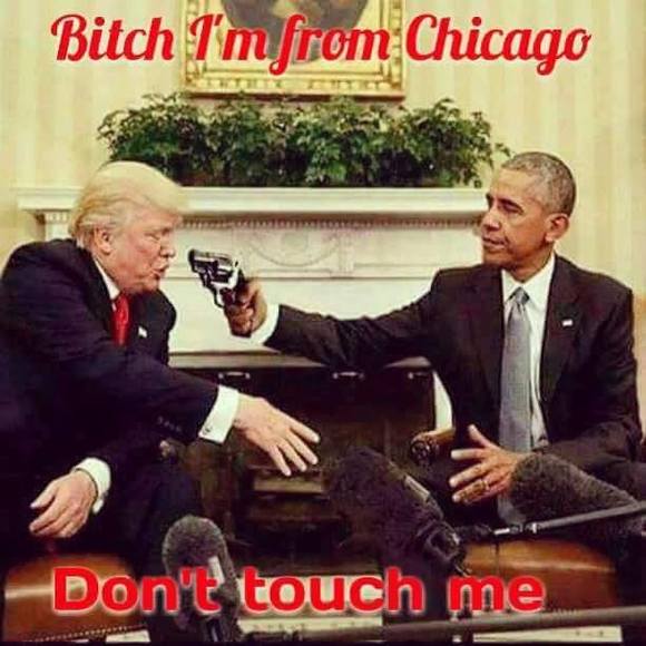 Meet your Posher, Michael - Picture 1 of 1