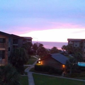 Meet your Posher, Martha