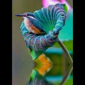 Meet your Posher, Stacey