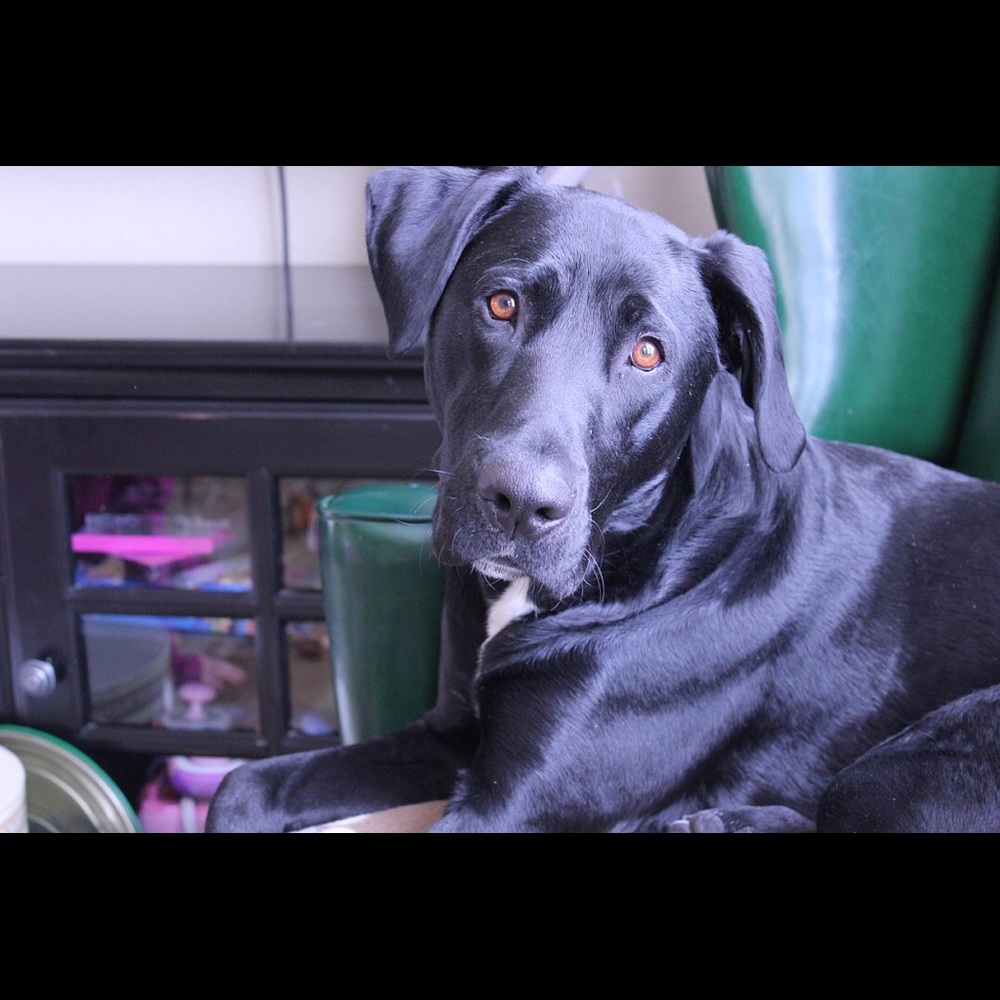 Meet your Posher, Aspen Springs