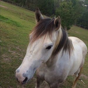 Meet your Posher, Bonnie