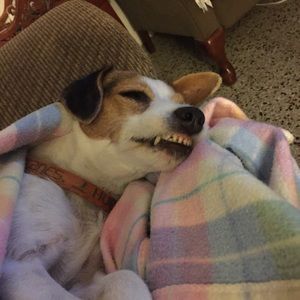 Meet your Posher, Kay