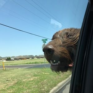 Meet your Posher, Matthew