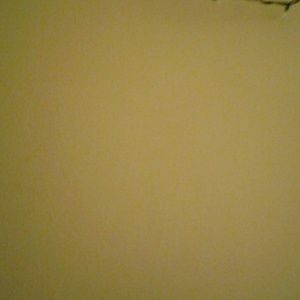 Meet your Posher, Colin