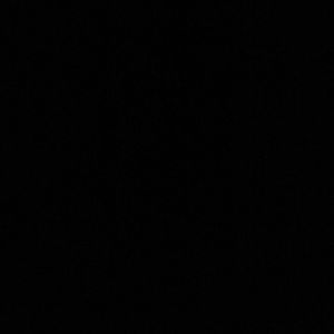 Meet your Posher, Alisha