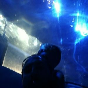 Meet your Posher, Joey