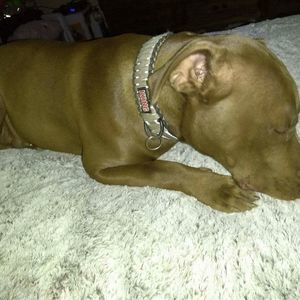 Meet your Posher, Erick