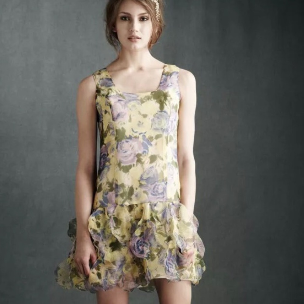 Anna Sui BLHDN Anthropologie floral dress