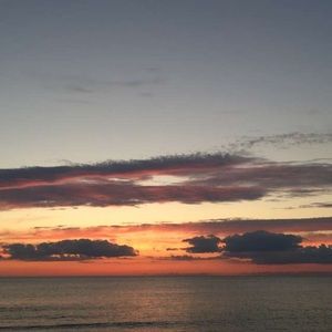 Meet your Posher, Addison