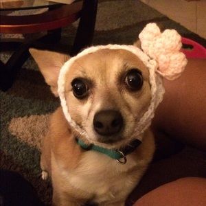 Meet your Posher, Charles