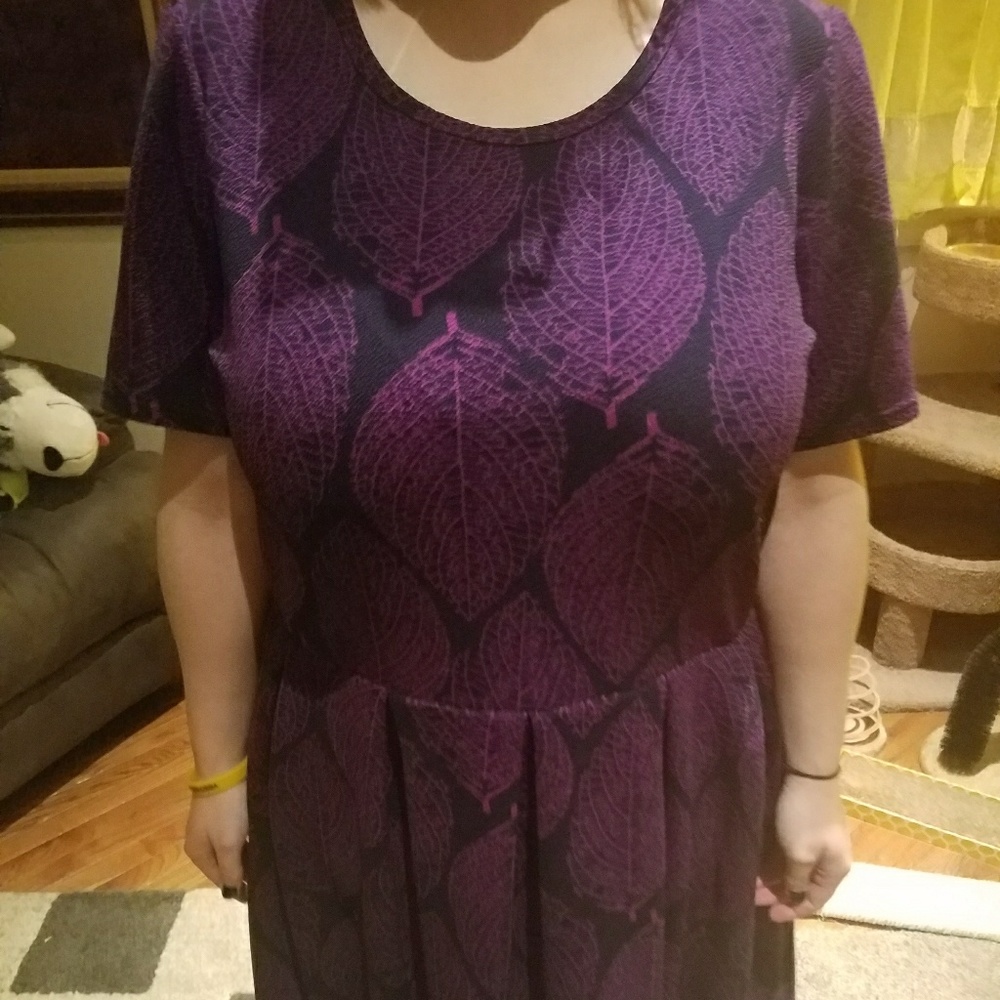 Lularoe Amelia dress