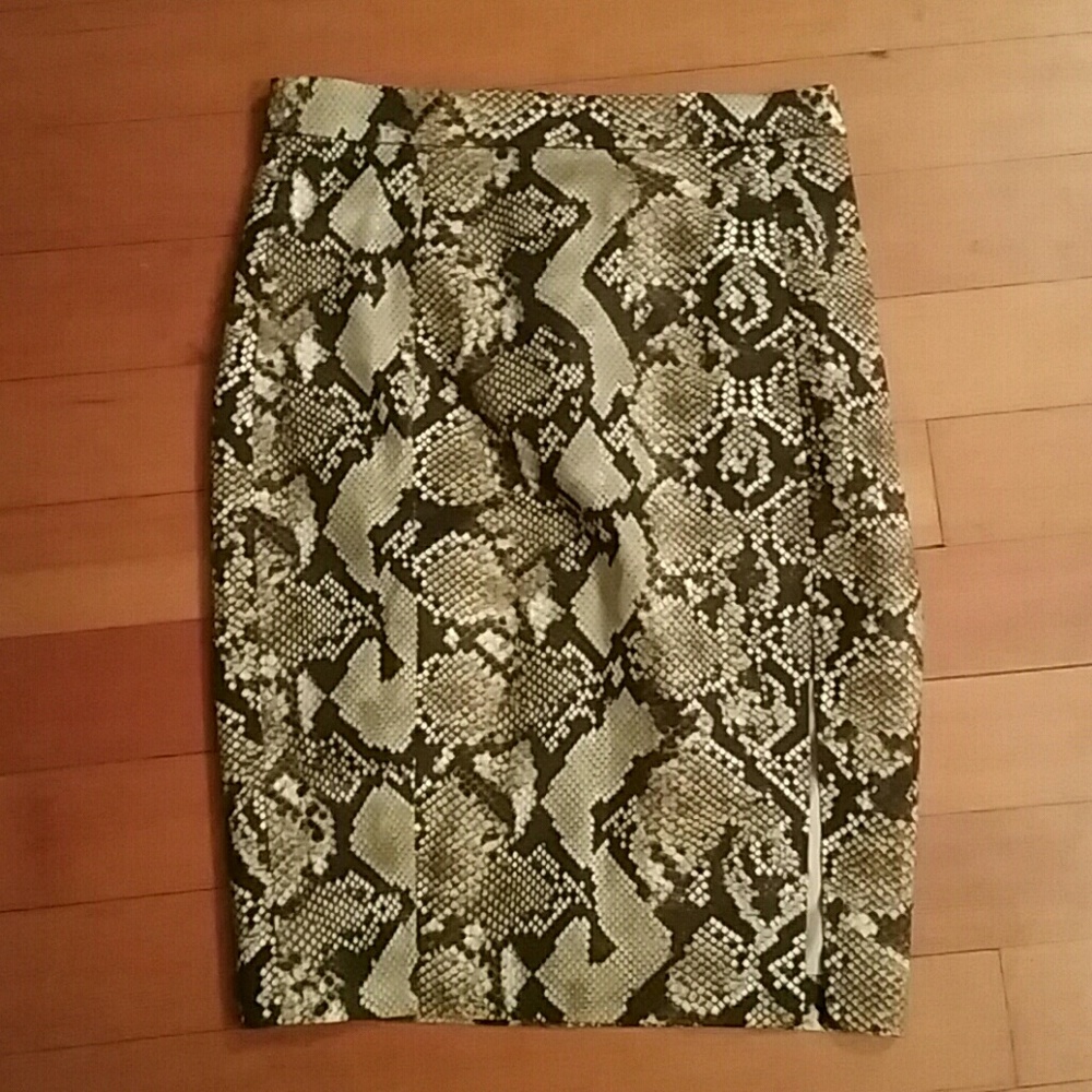 Altuzarra snack-skin patternes skirt