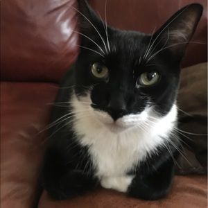 Meet your Posher, Susan