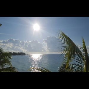 Meet your Posher, Felipe