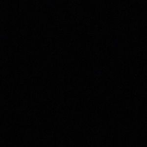 Meet your Posher, Rose