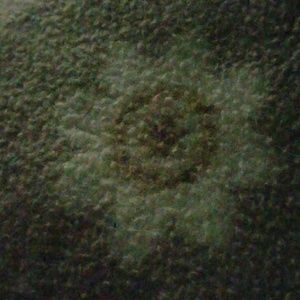 Meet your Posher, Derrick