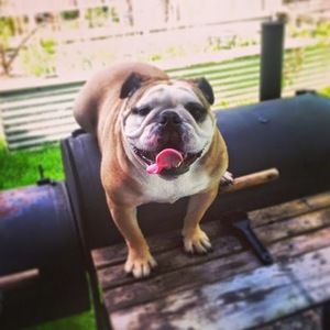 Meet your Posher, Alex