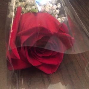 Meet your Posher, Olinda