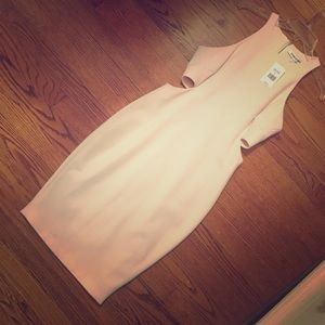 Elizabeth and James Peony Pink Dress