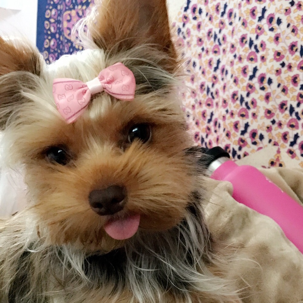 Meet your Posher, Julie