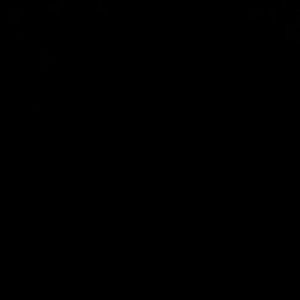 Meet your Posher, Mayra