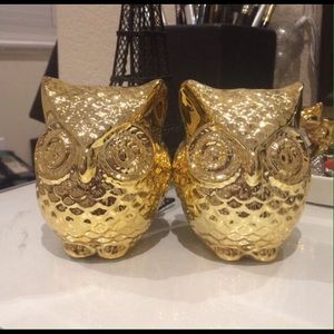 Golden owls