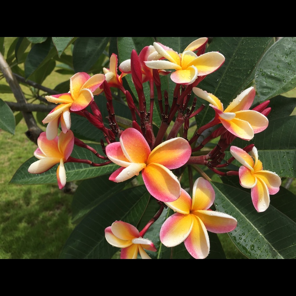 Meet your Posher, Alicja