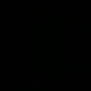 Meet your Posher, Luis