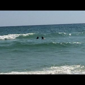 Meet your Posher, Blair