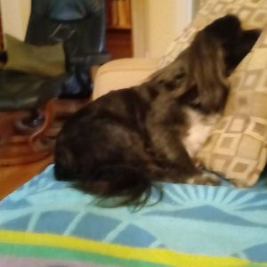 Meet your Posher, Jackie