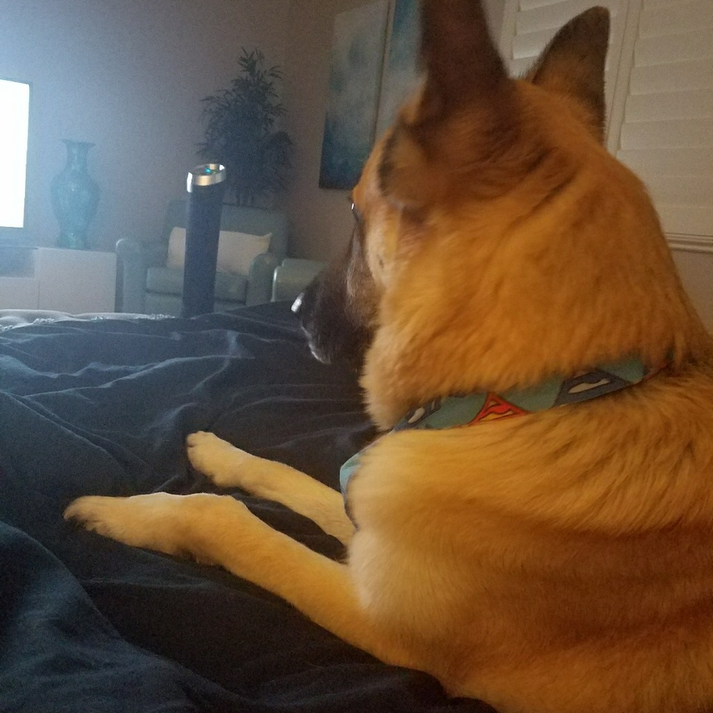 Meet your Posher, Chhristine