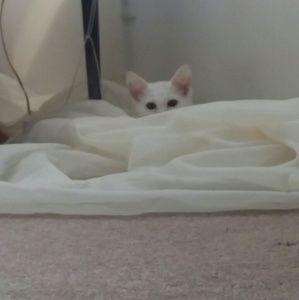 Meet your Posher, Ezra