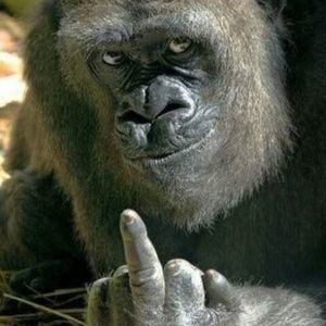 Meet your Posher, Scott