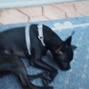 Meet your Posher, Debbie