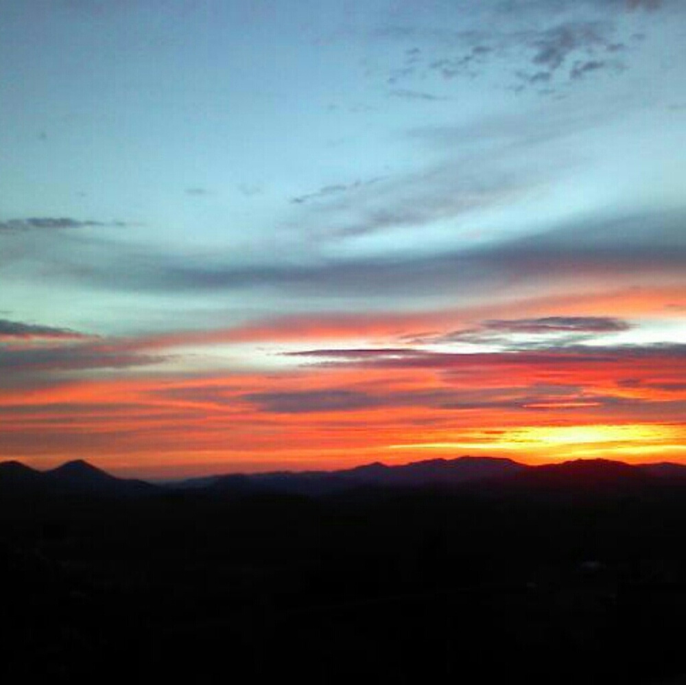 Meet your Posher, Savannah