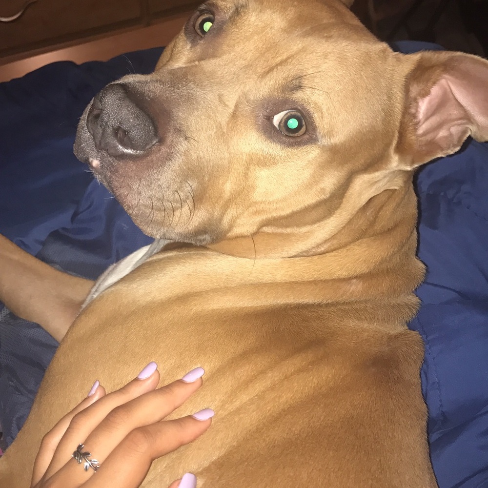 Meet your Posher, Alexis