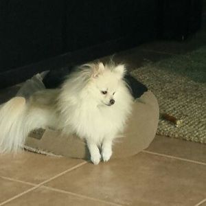 Meet your Posher, Nilda