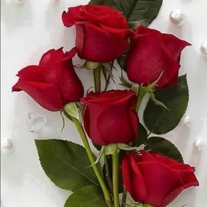 Meet your Posher, Kay