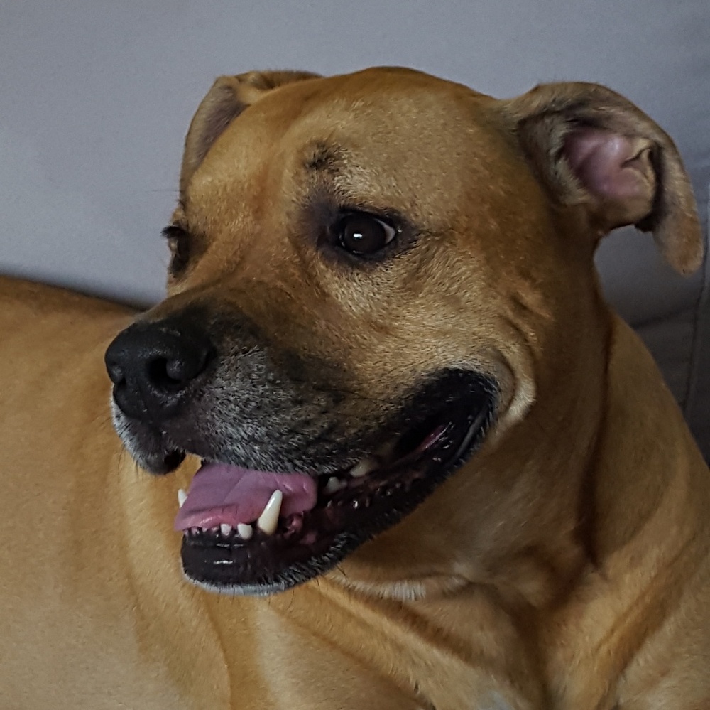 Meet your Posher, Sandy